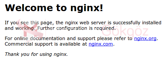 nginx_defaultgorsel1