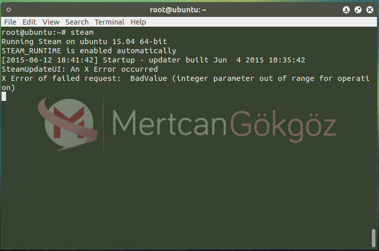 steamubuntuhatagorsel