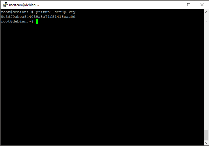 Pritunl(OpenVPN ve IPsec) Enterprise VPN Kurulumu 2 pritunl key setup