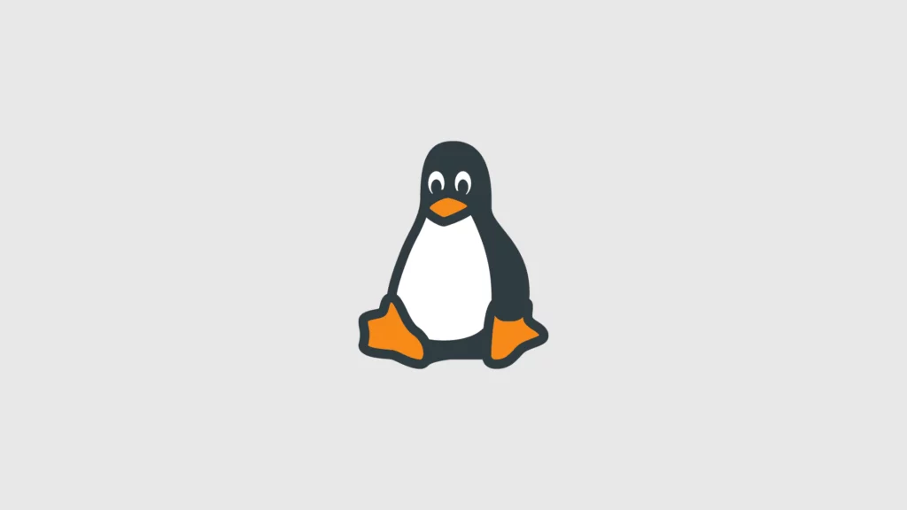 Video Dosyalarını FFMPEG ile MP3 Çevirme 1 yüksek çözünürlüklü linux görseli
